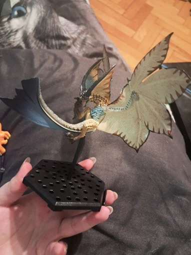 Review image 5